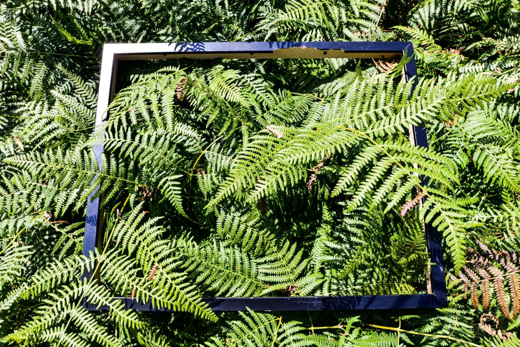 movies lifestyle fade