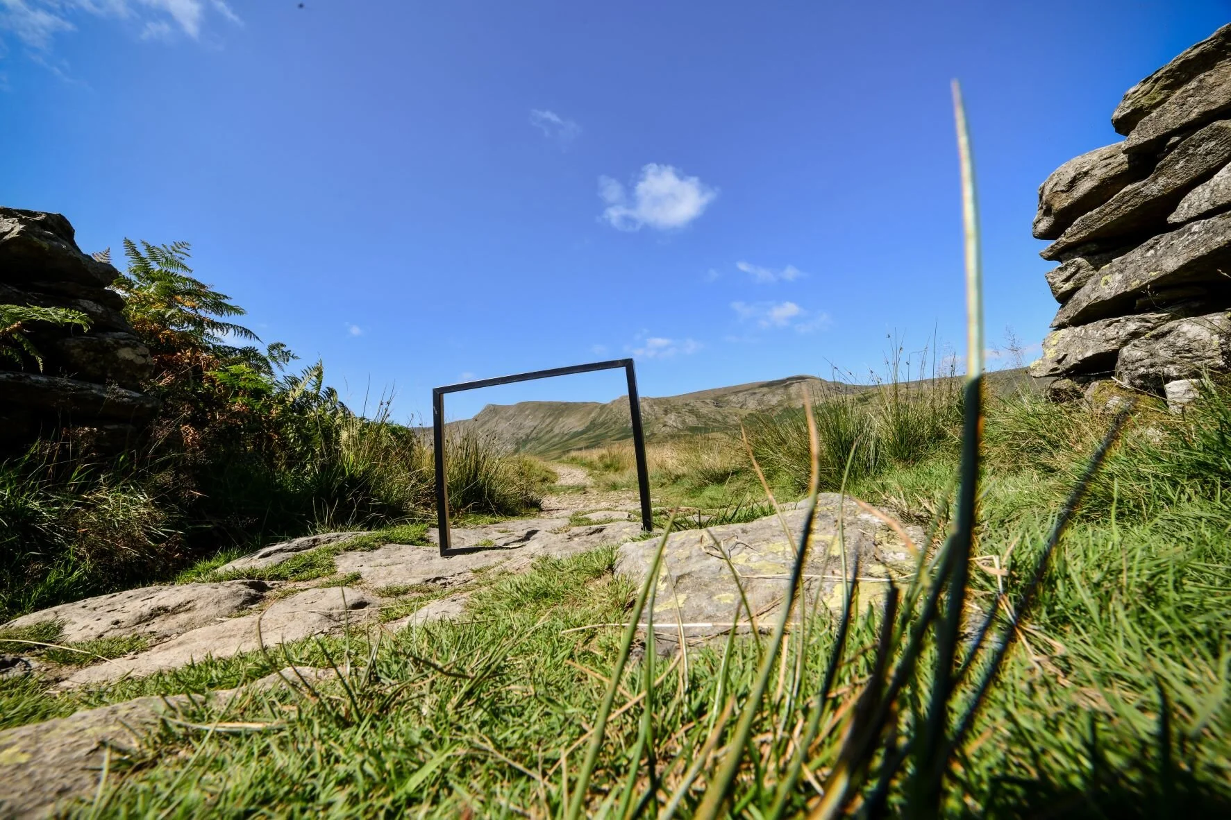 stem grounding shuttered