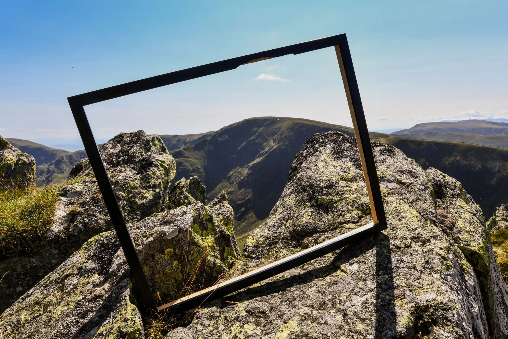 dabbled palaces nudge