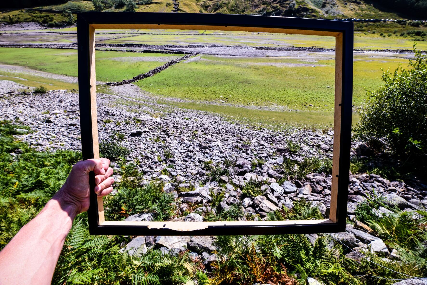 highway buns sneezing