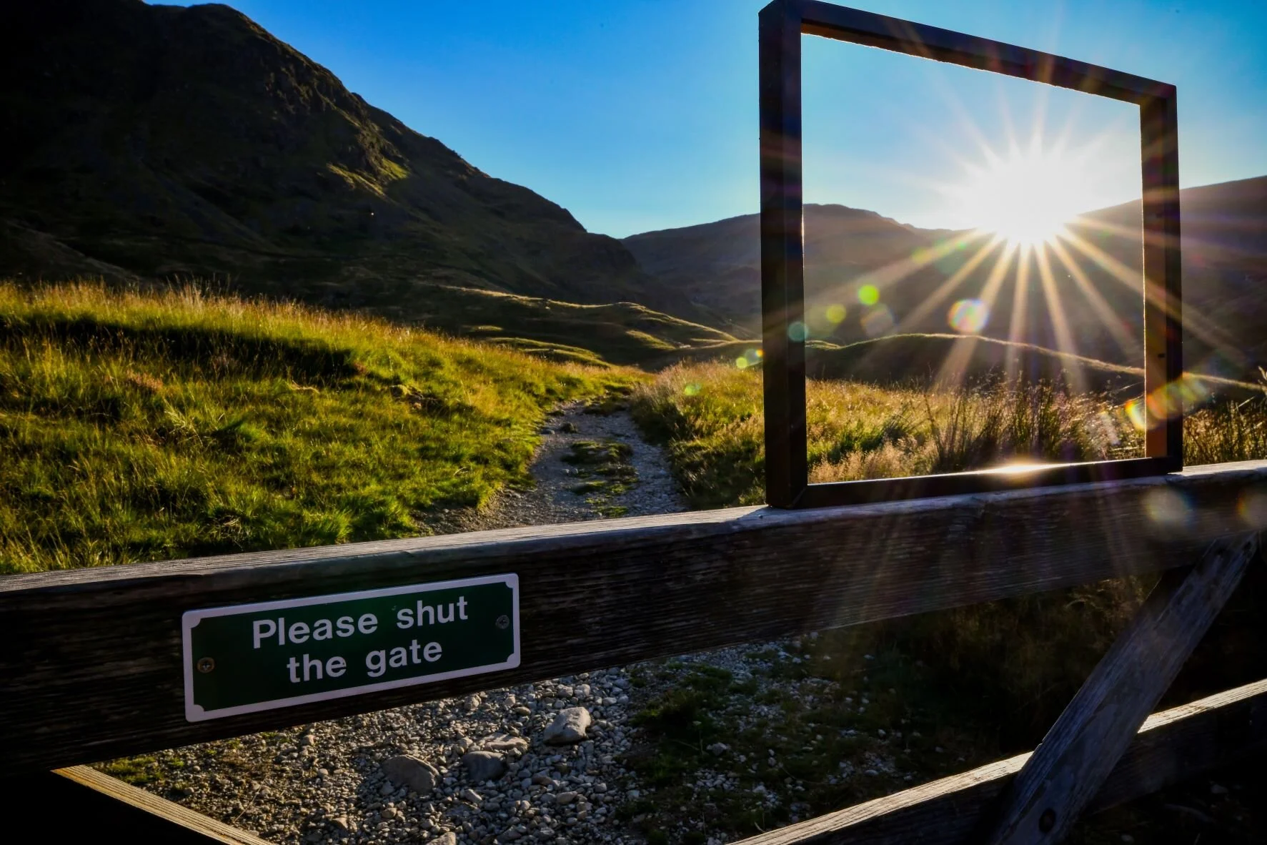 establish walked trunk