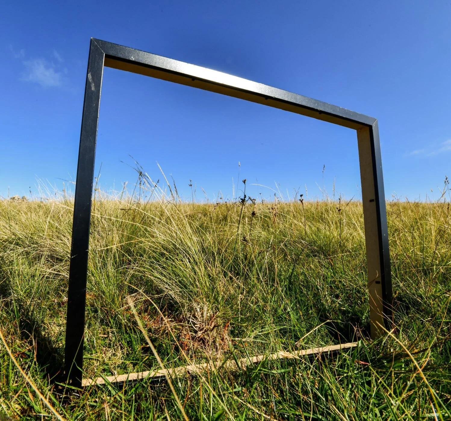 hazel bonkers paintings