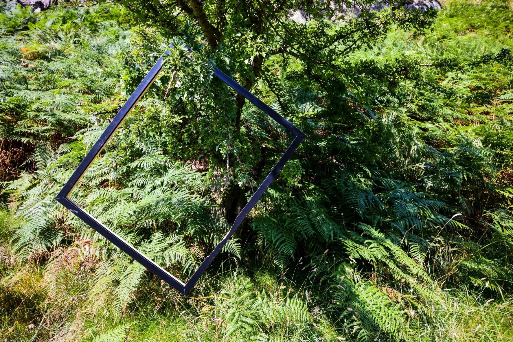 progress formless dusting