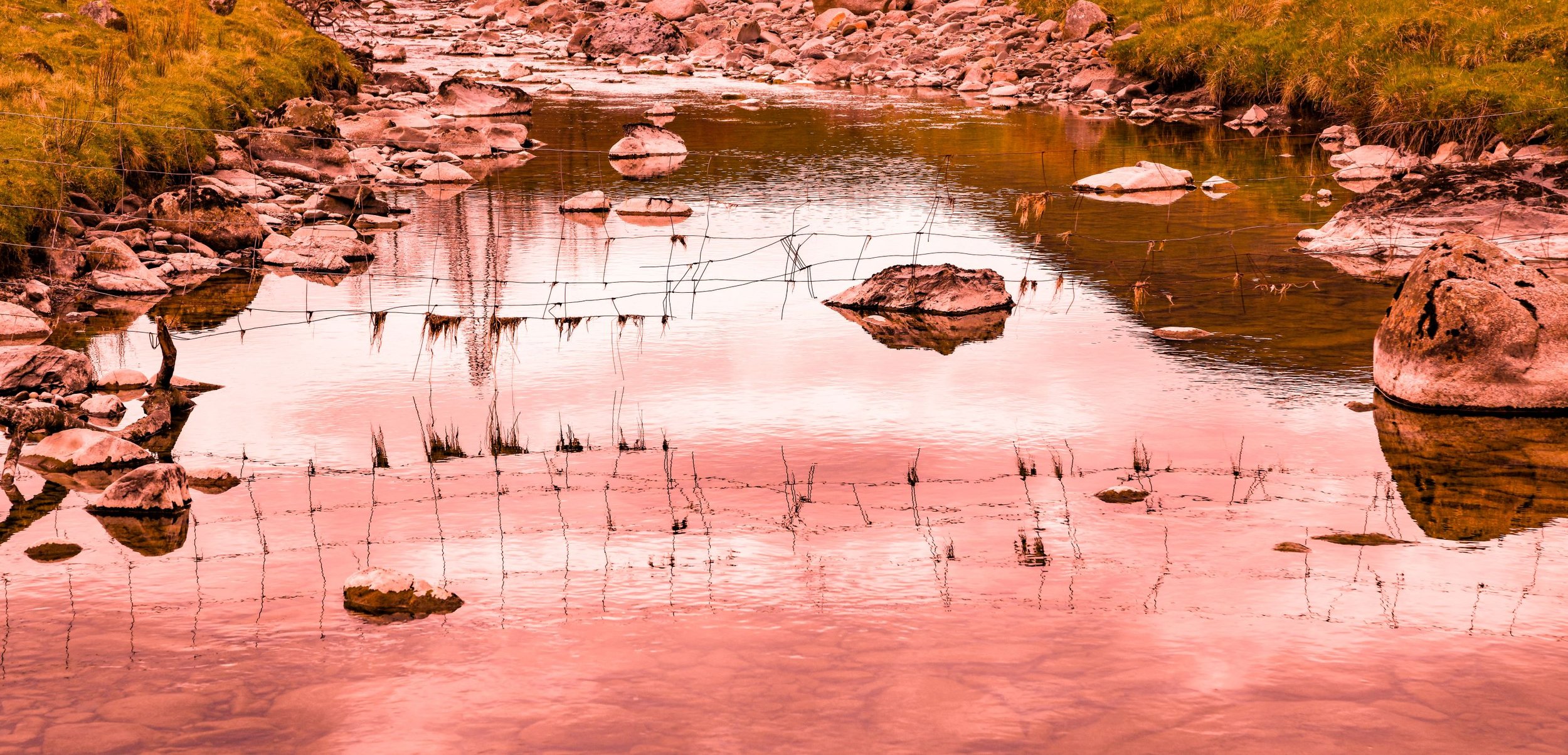 reflections-6rs.JPG