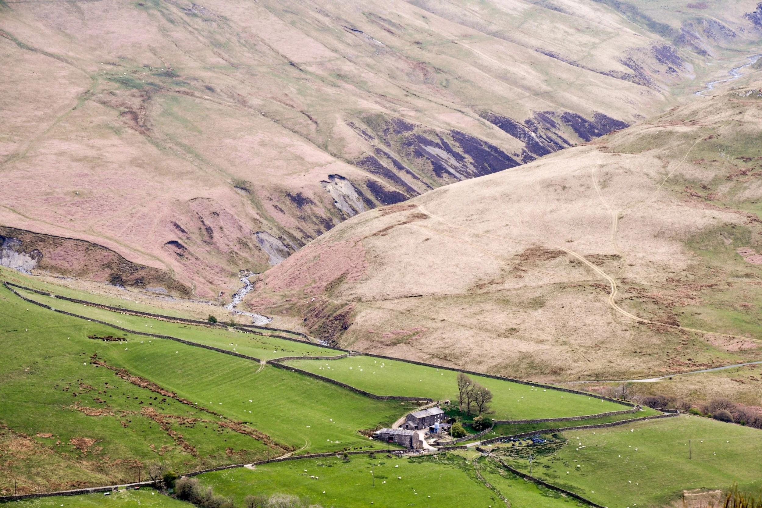 dales-1rs.JPG