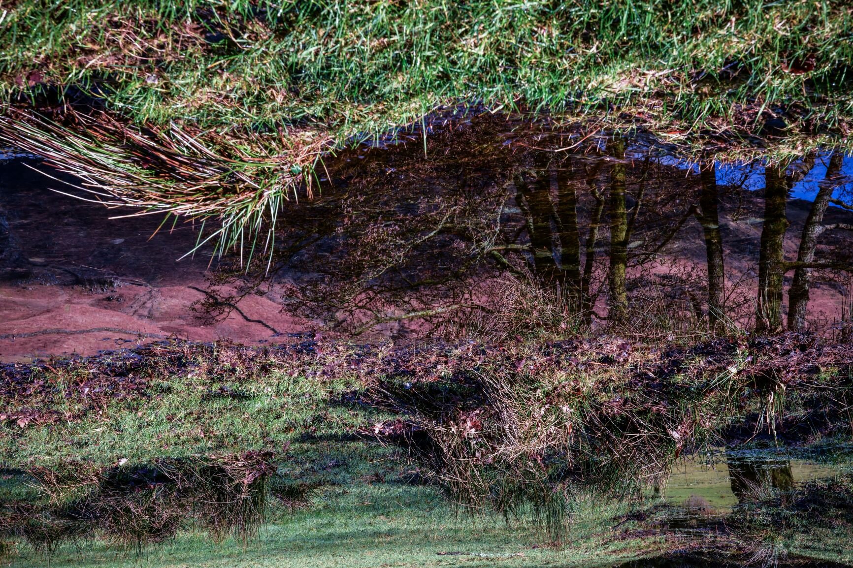 the beautiful mess we made of everything