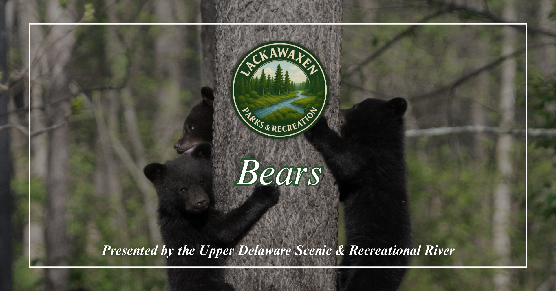 Parks &amp; Recreation "Bears"  Program 