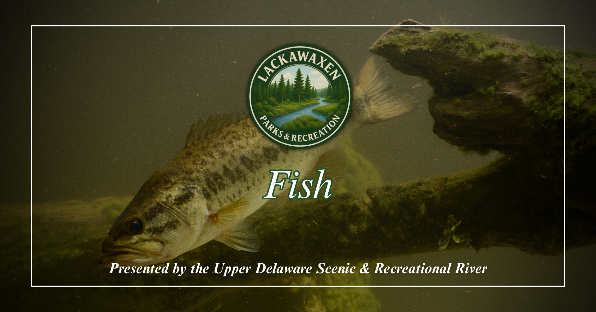 Parks &amp; Recreation "Fish” Program