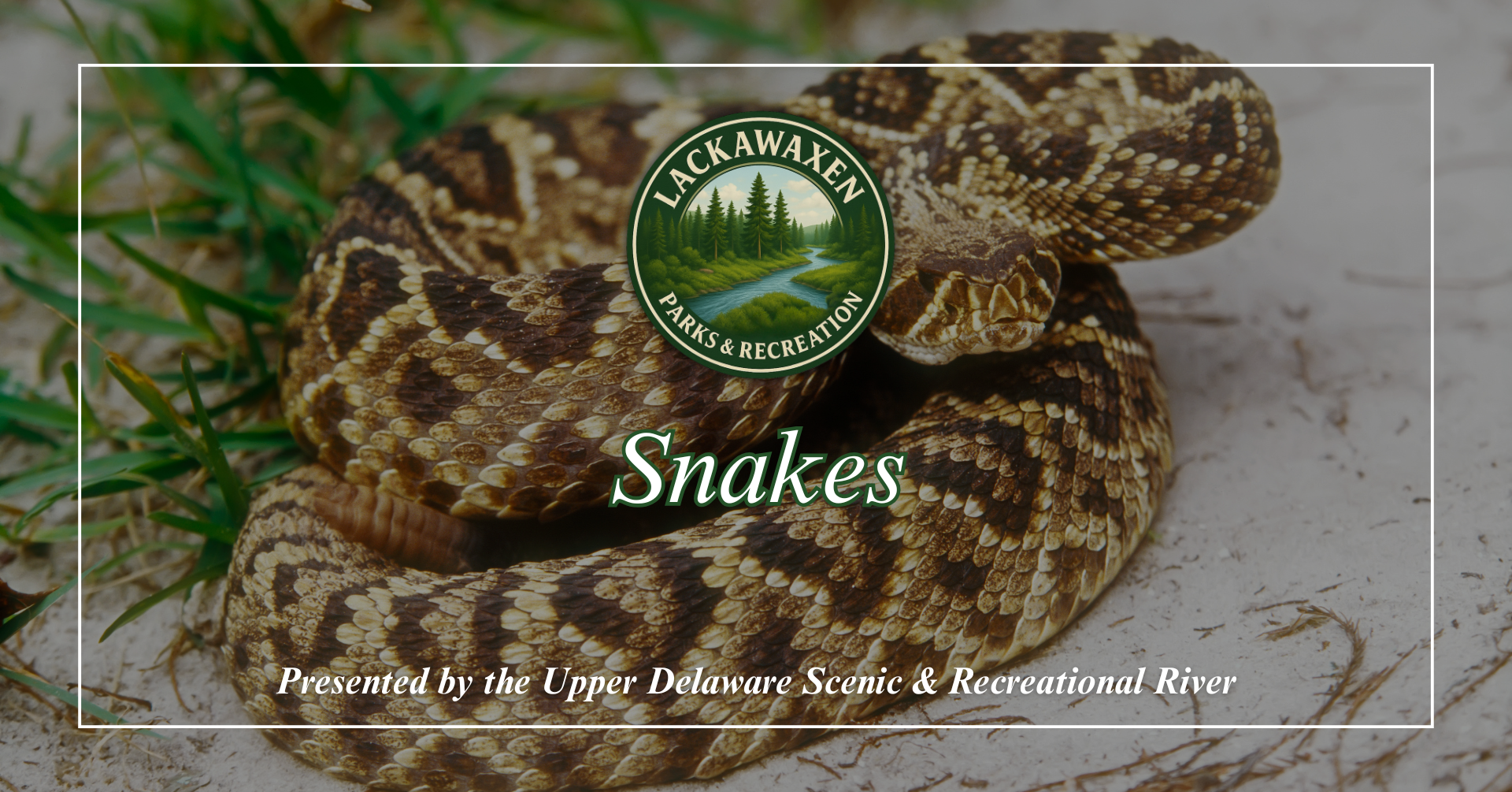 Parks &amp; Recreation "Snakes” Program