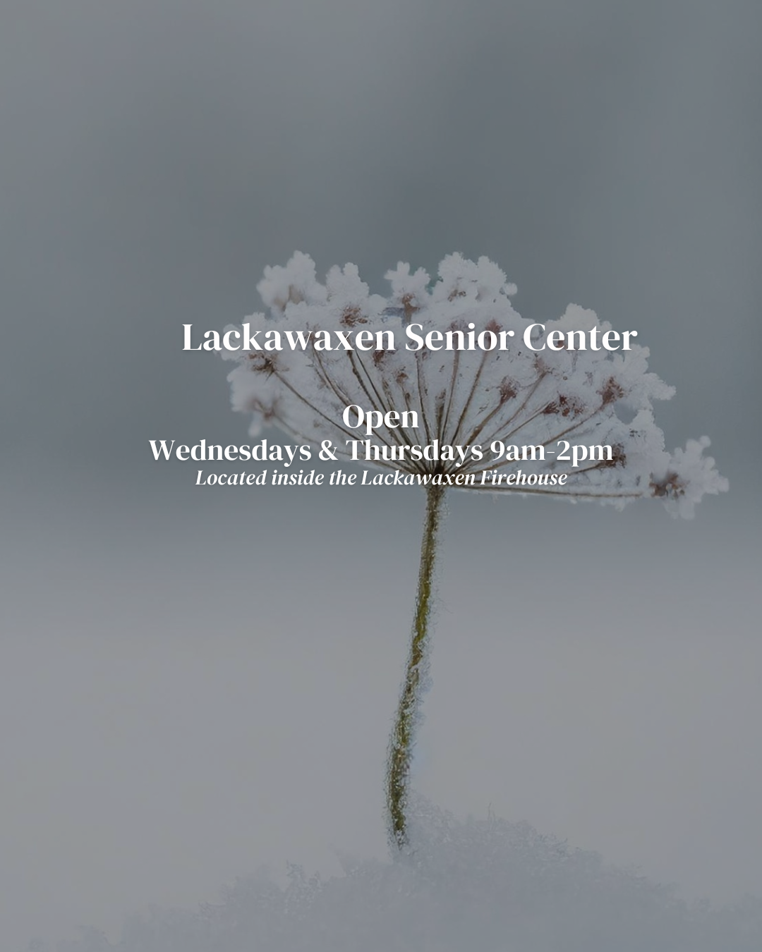 January 2026 Newsletter