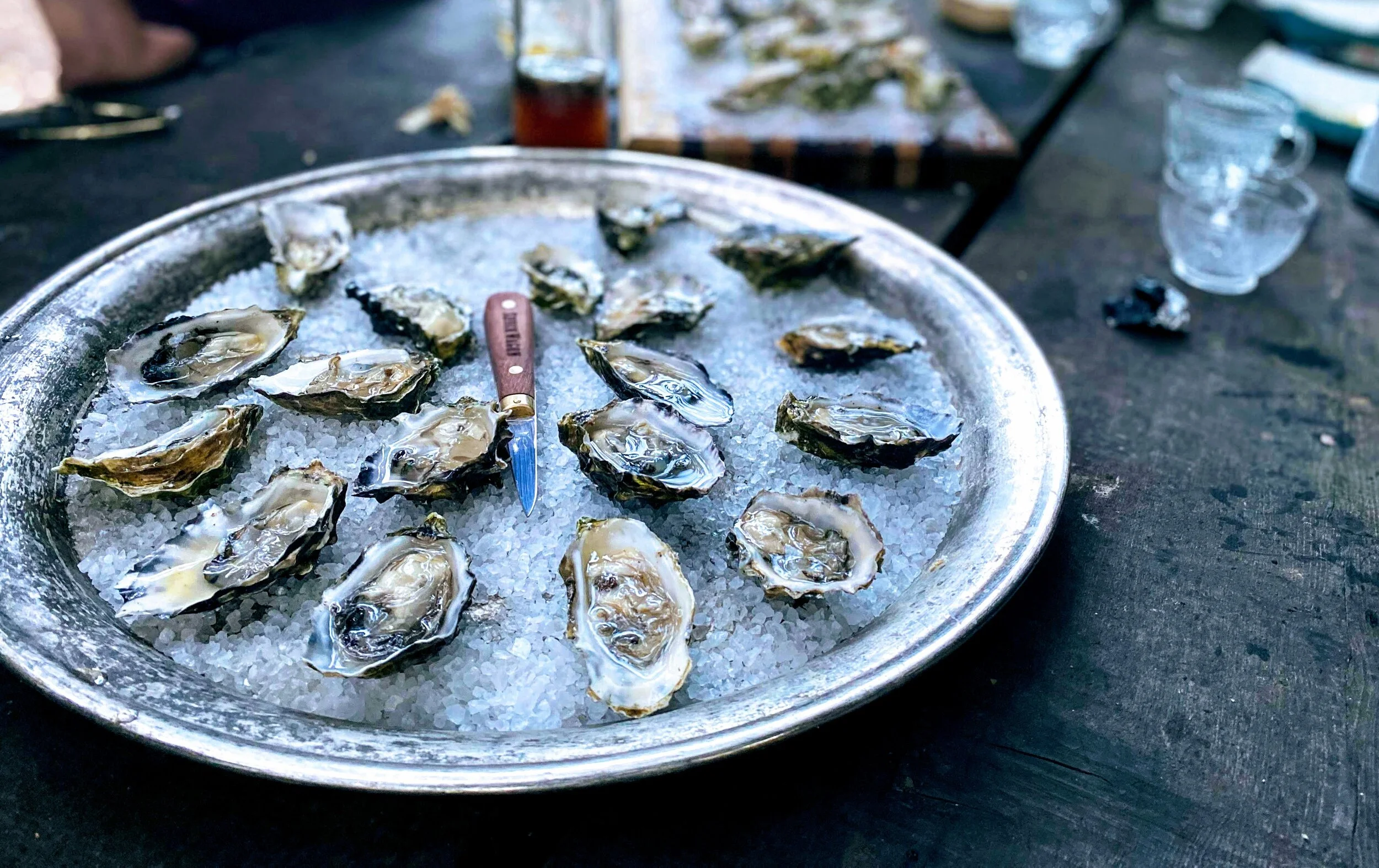 oysters.jpeg