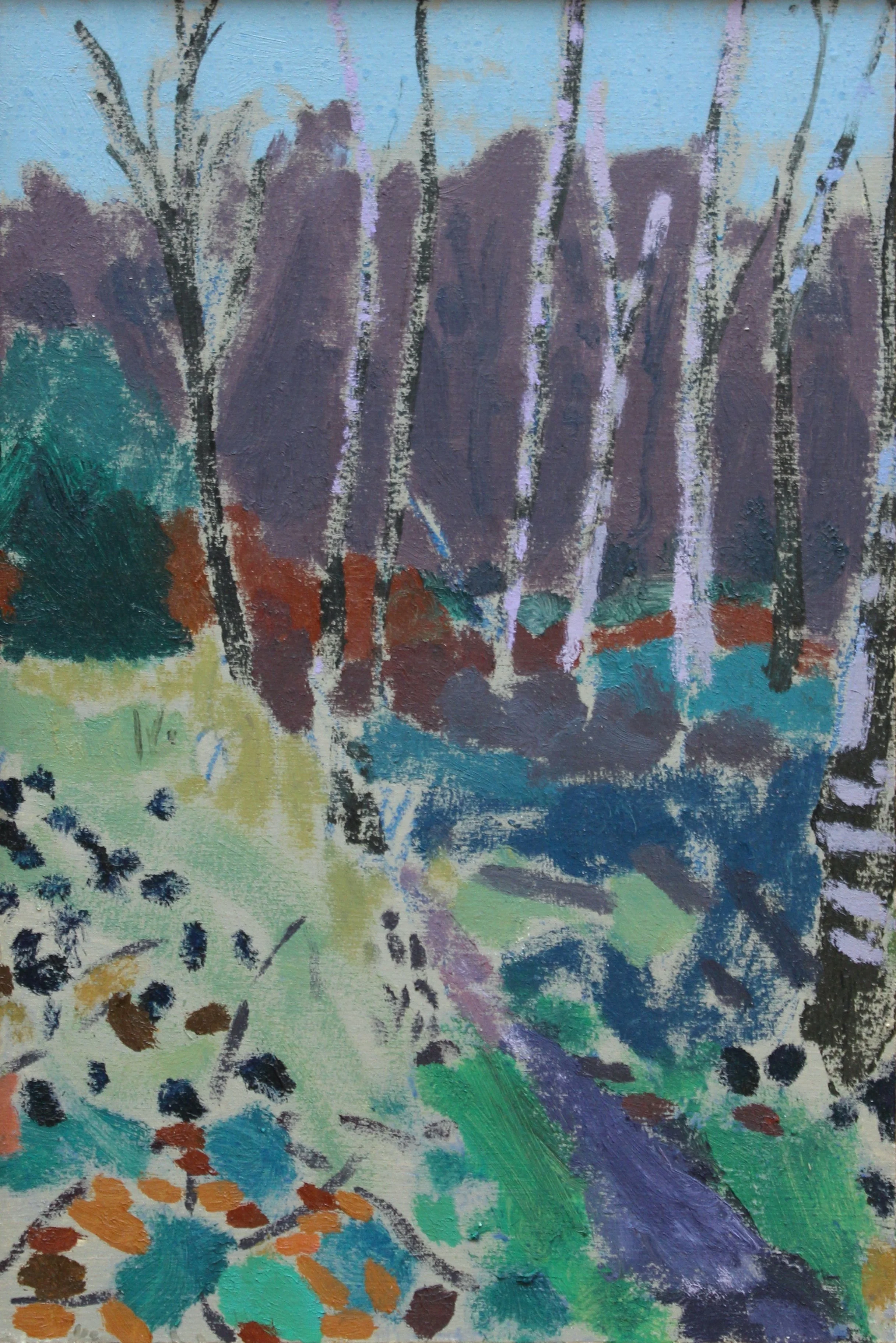 Silver Birch. 20x30. Oil on Board.JPG