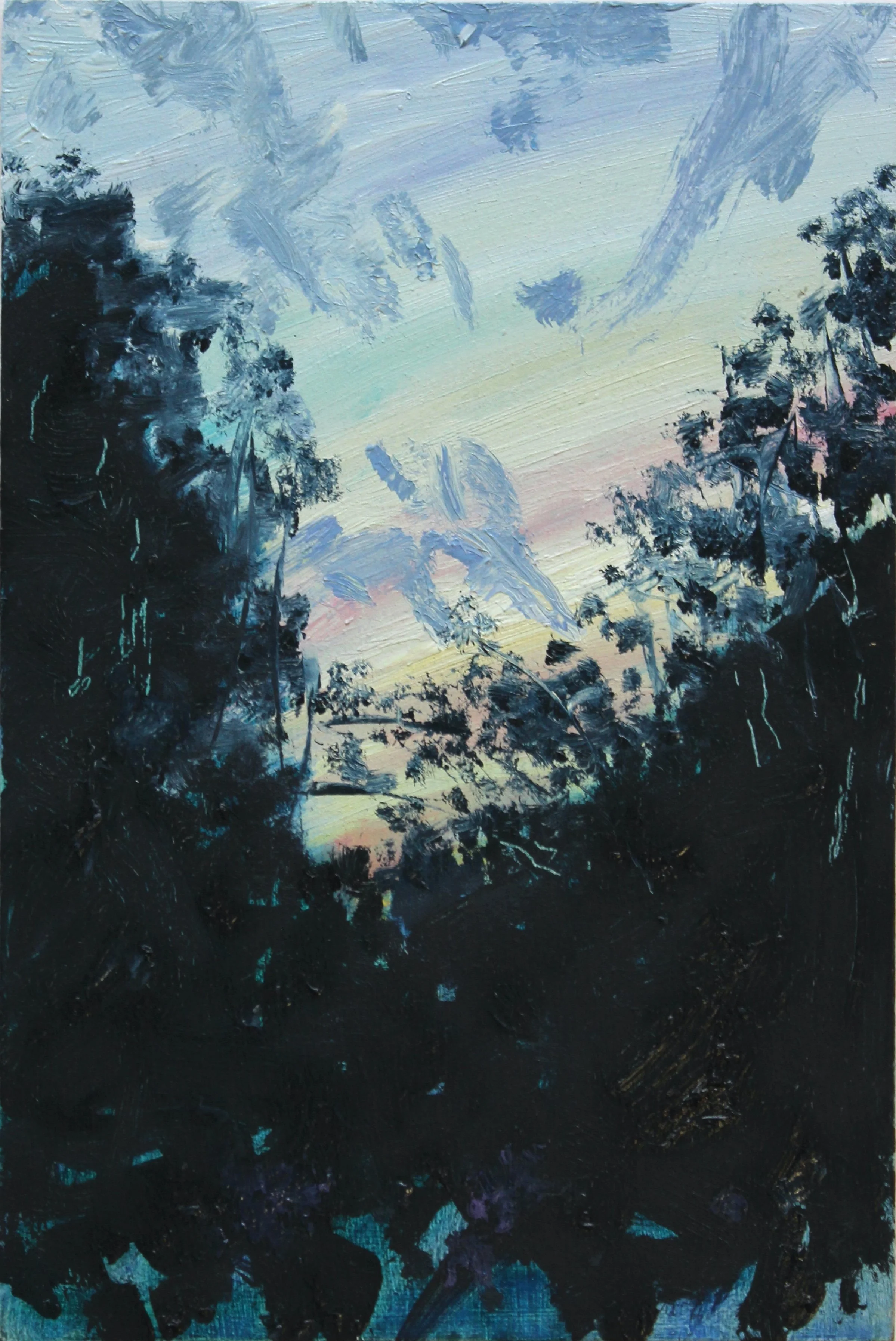 Woodland Dusk 2. 20x30. Oil on Board.JPG
