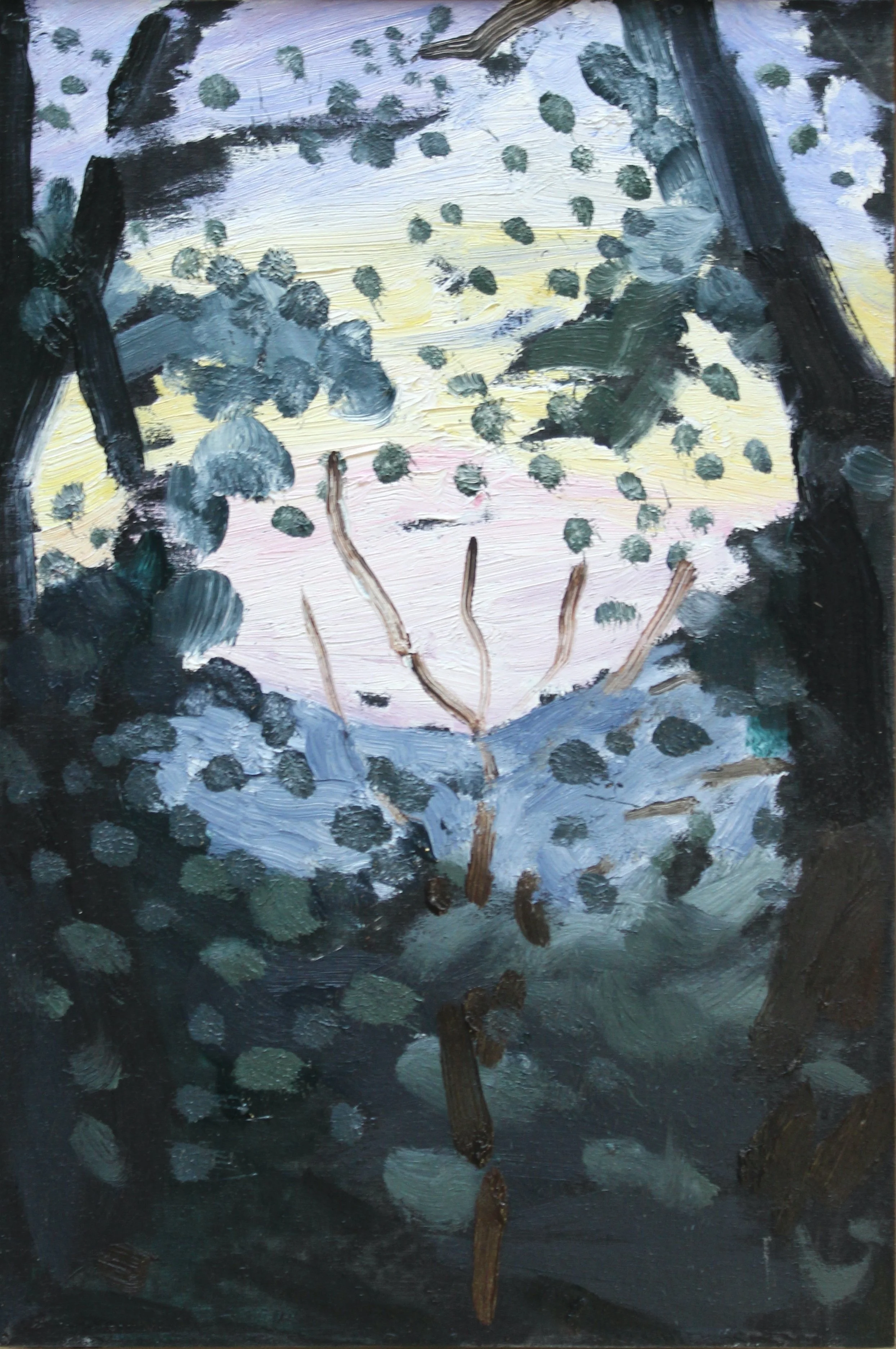 Woodland Dusk 1. 20x30. Oil on Board.JPG