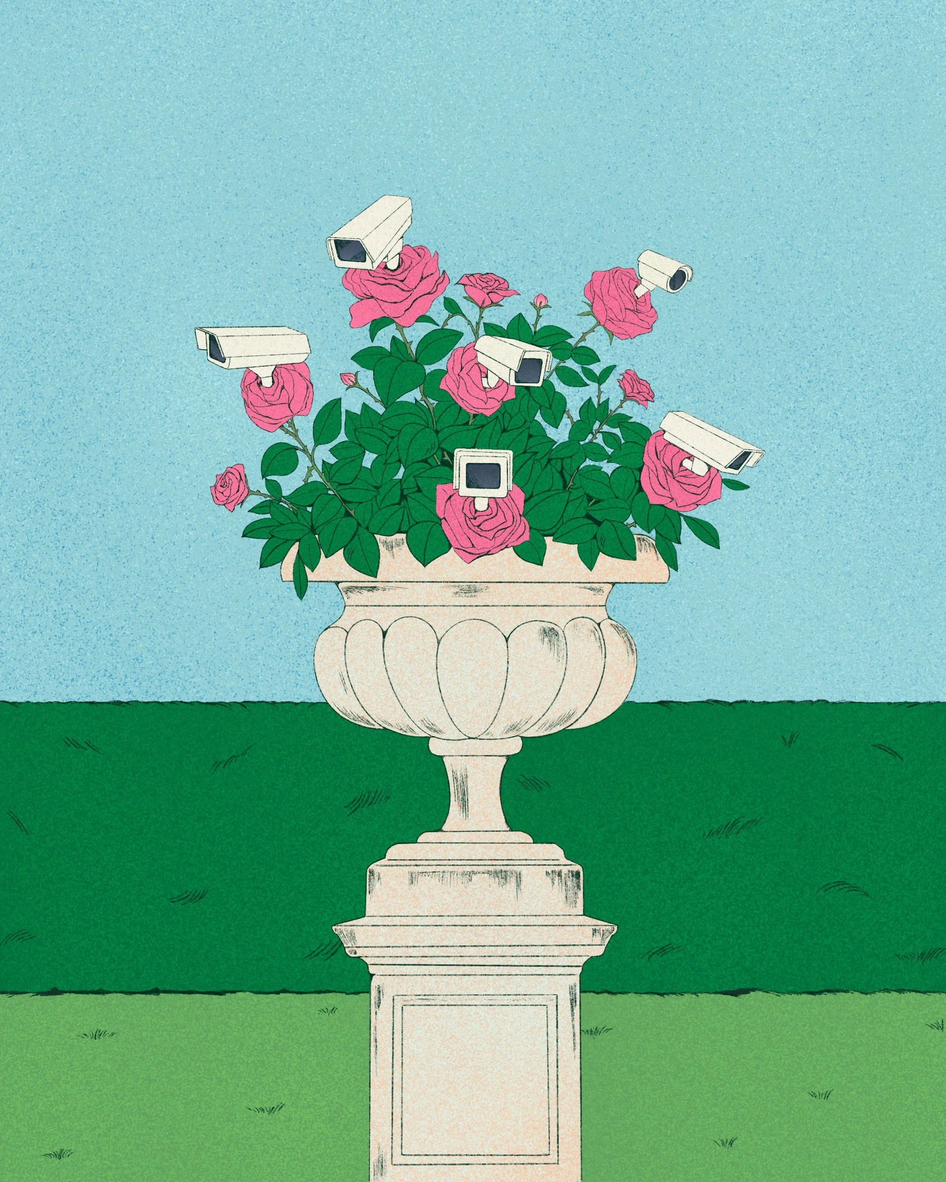 Viewing-Garden-2-Web.jpg