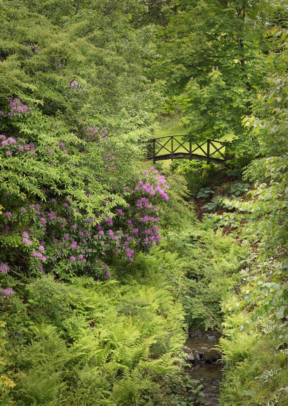 2 castle-garden ss.jpg