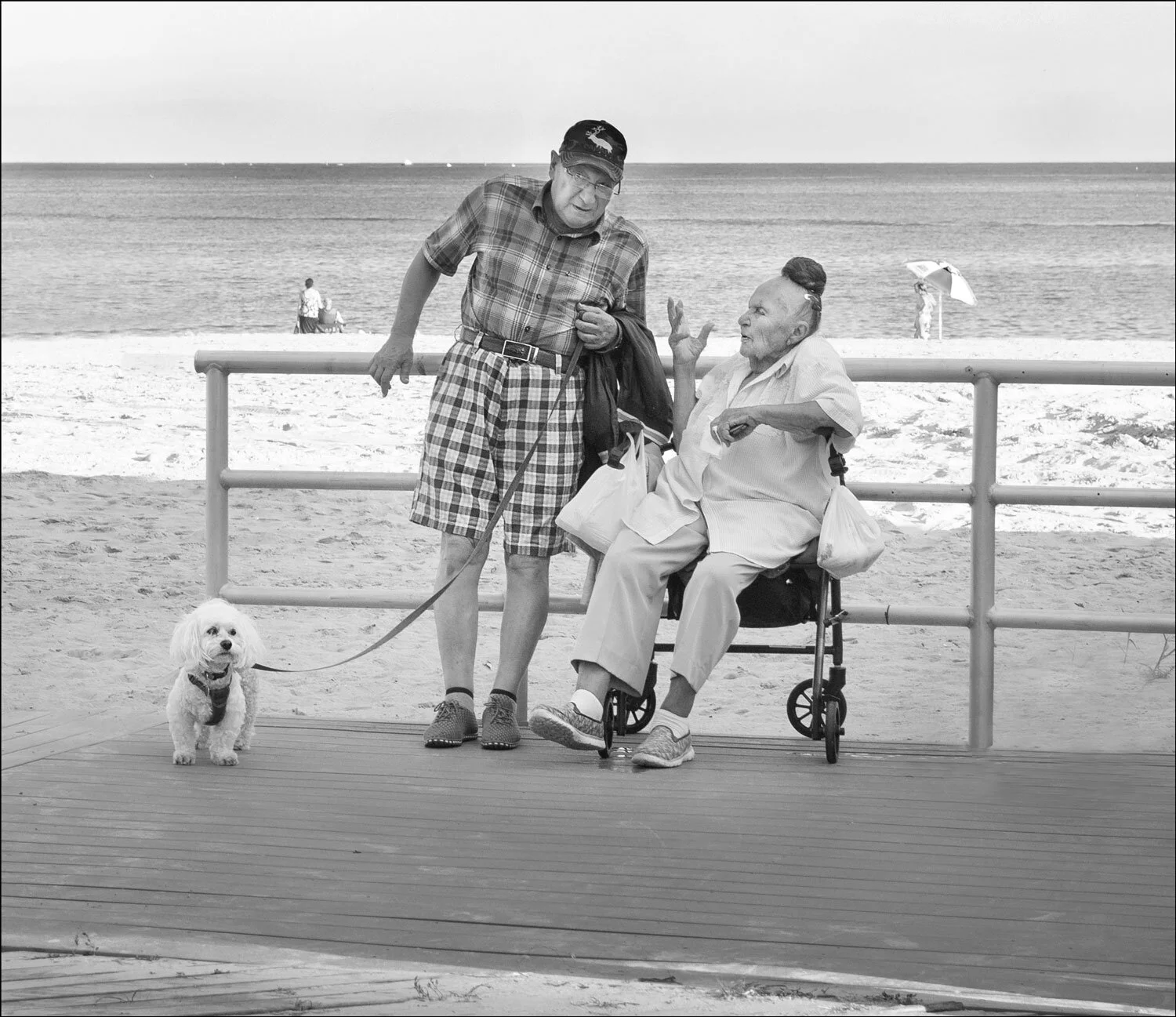 pair-with-dogs.jpg