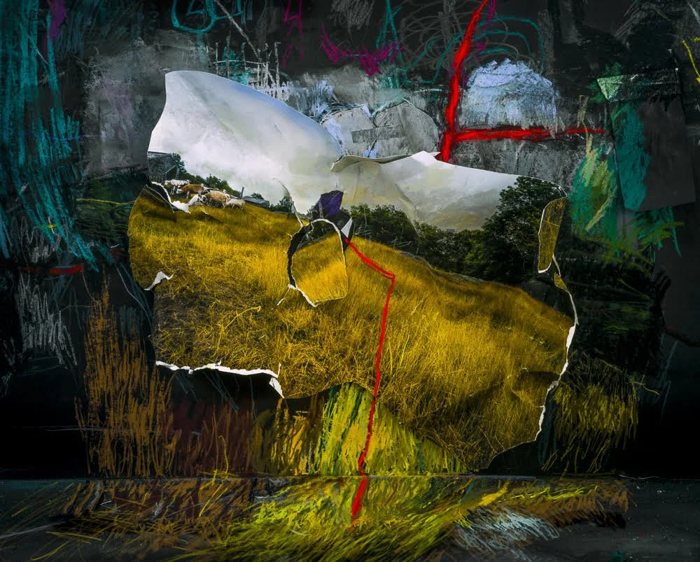 Suzanne Theodora White, Loss