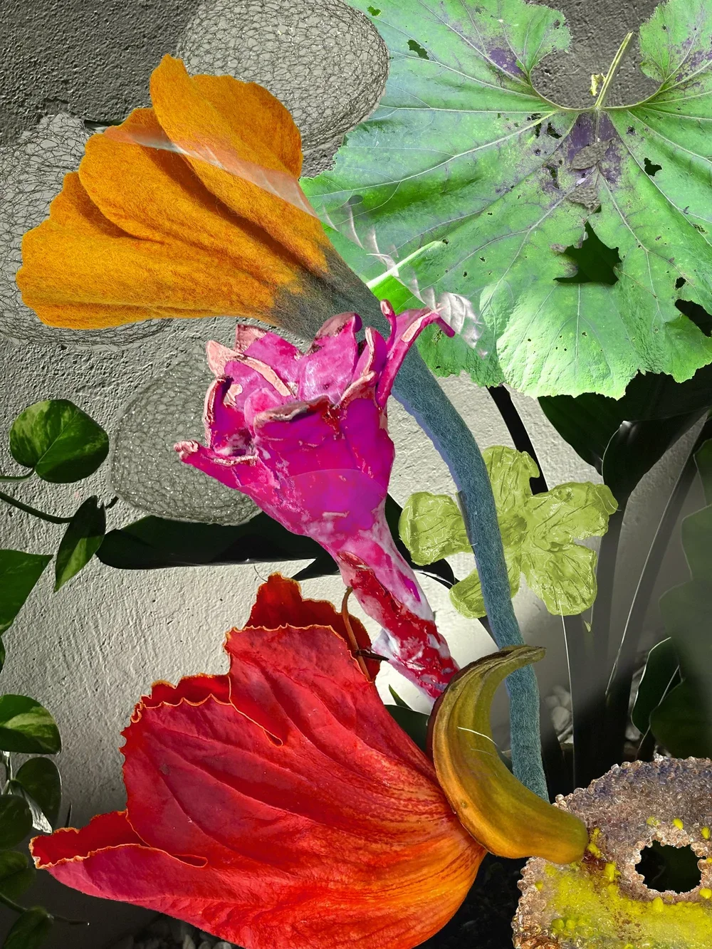 Carol Eisenberg, Botanicals 3