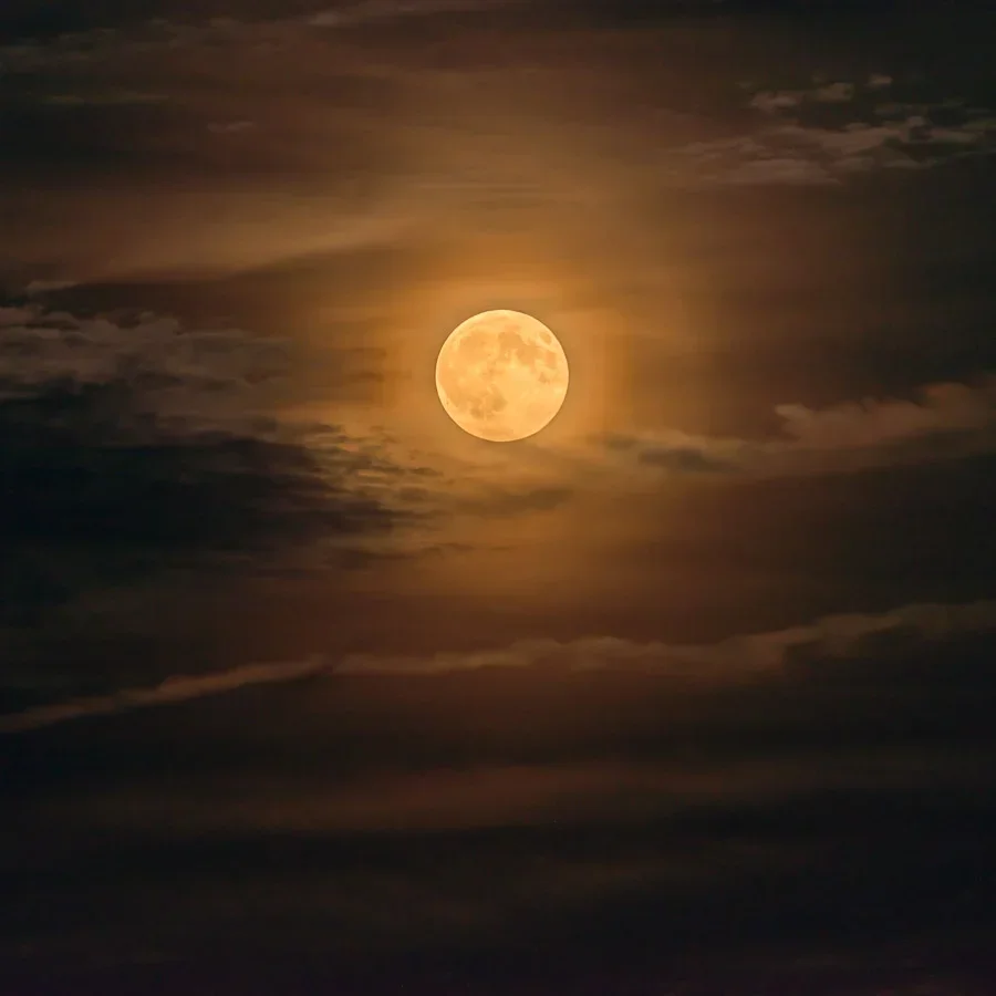 Jim Nicklinson, Moon Of the Ripening 1