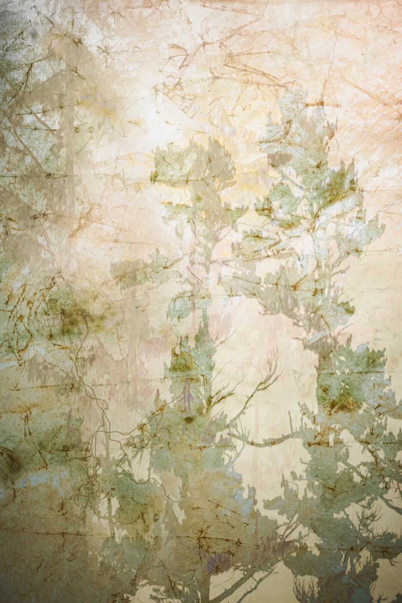 Karen Olson, Emergence