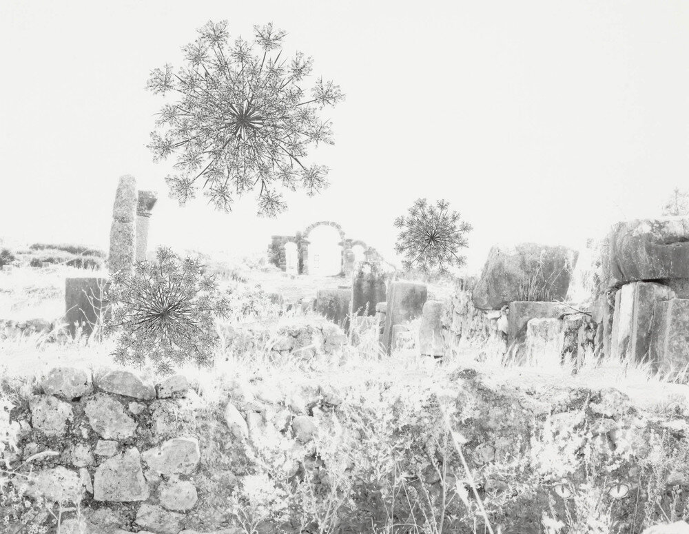   Ruins Revisited 2 , 2010, Silver print, 20.5 x 25 inches 