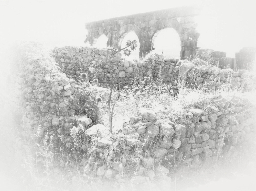   Ruins Revisited 3 , 2010, Silver print, 20.5 x 25 inches 