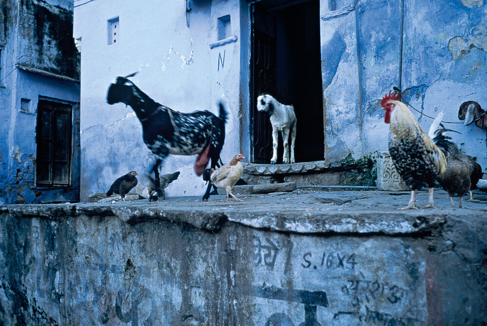   Johnpur , 1991, Inkjet Print, 45.5 x 34 inches From the&nbsp; Handfuls of Sunshine: &nbsp;A Soul Journey Through India &nbsp;portfolio 