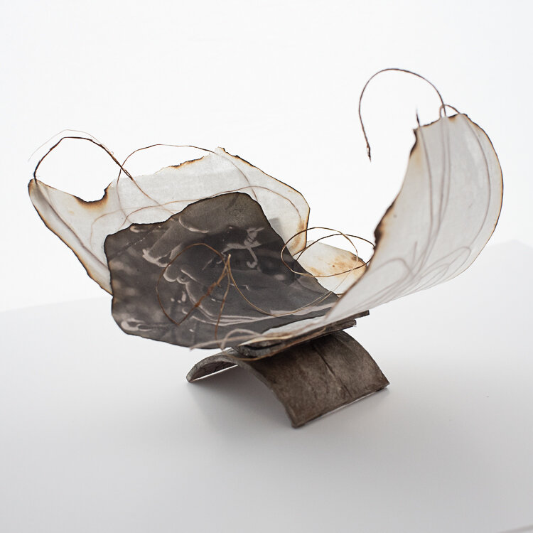  Karen Olson, Open Arms, 2021, Sculptural photograph, 5x8 inches 