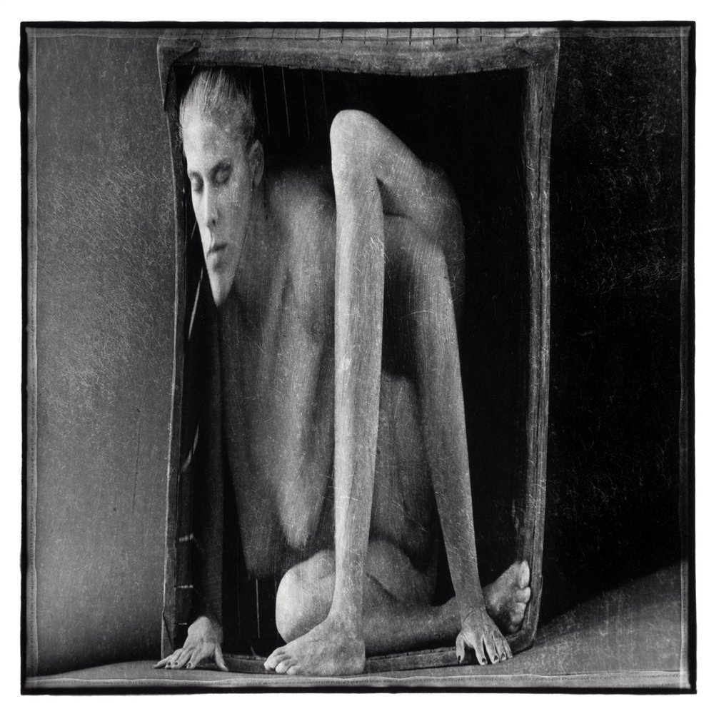  Candace DiCarlo,  Superunknown , 1995, Vintage selenium toned silver print, 10 x 10 inches 
