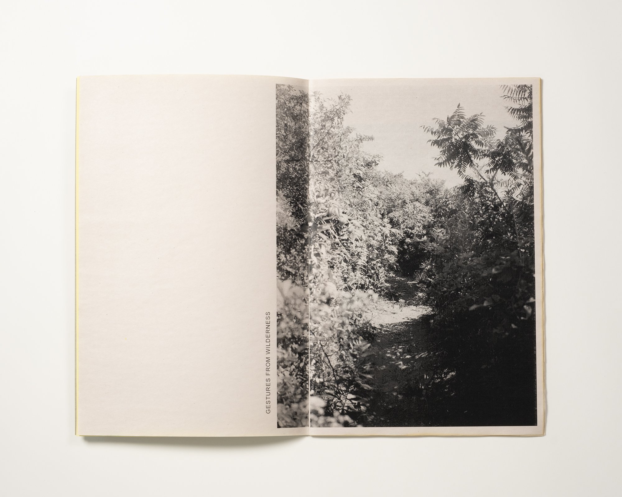 Cole Caswell, Gestures From Wilderness