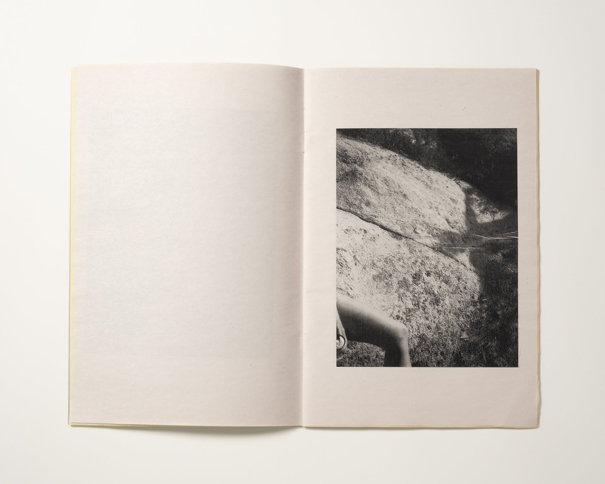 Cole Caswell, Gestures From Wilderness