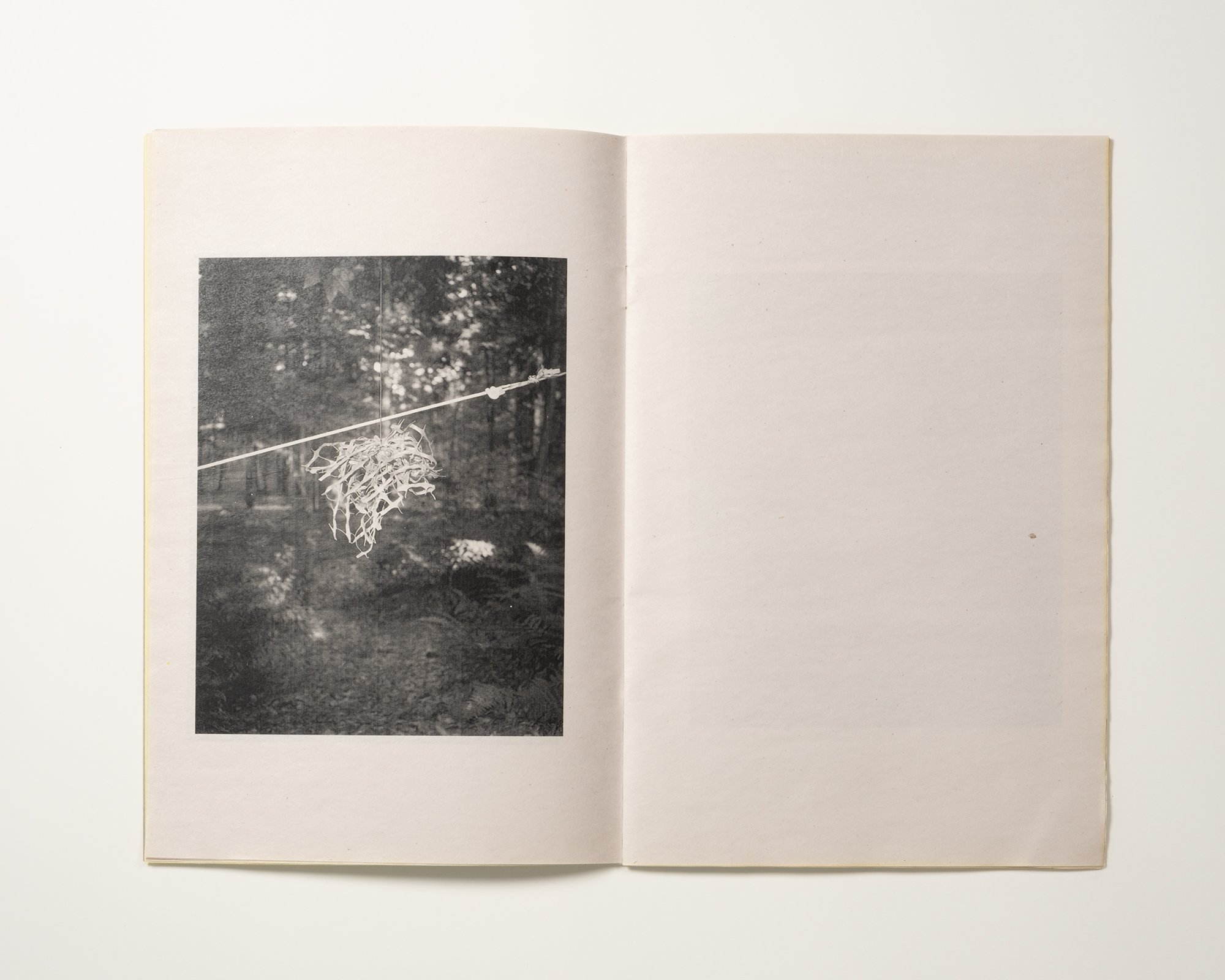 Cole Caswell, Gestures From Wilderness