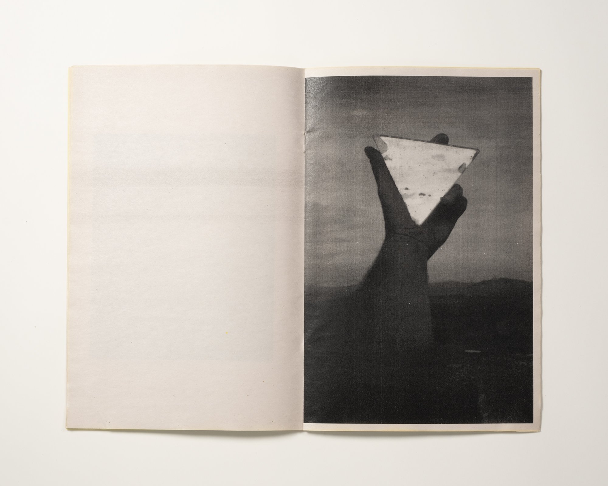 Cole Caswell, Gestures From Wilderness