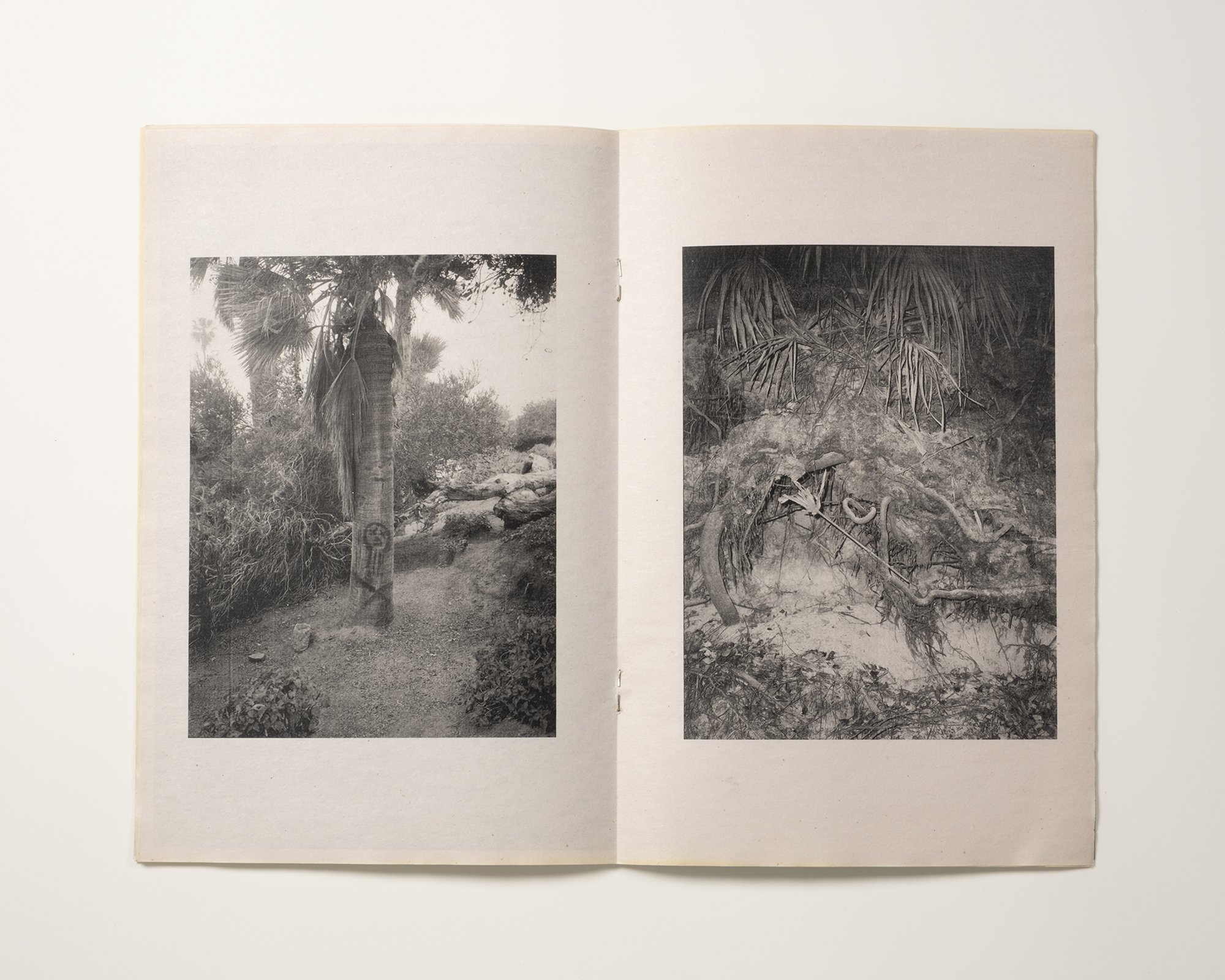 Cole Caswell, Gestures From WIlderness