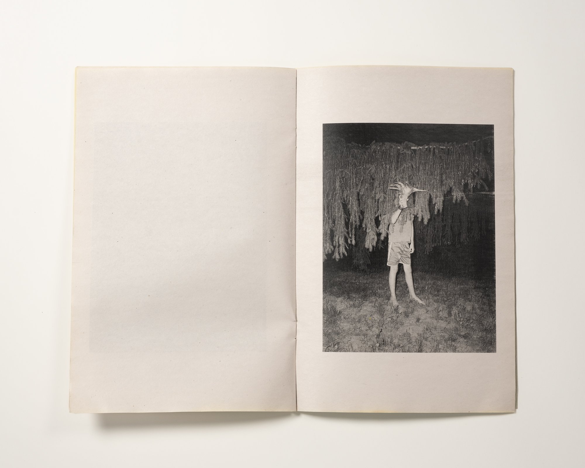 Cole Caswell, Gestures From Wilderness