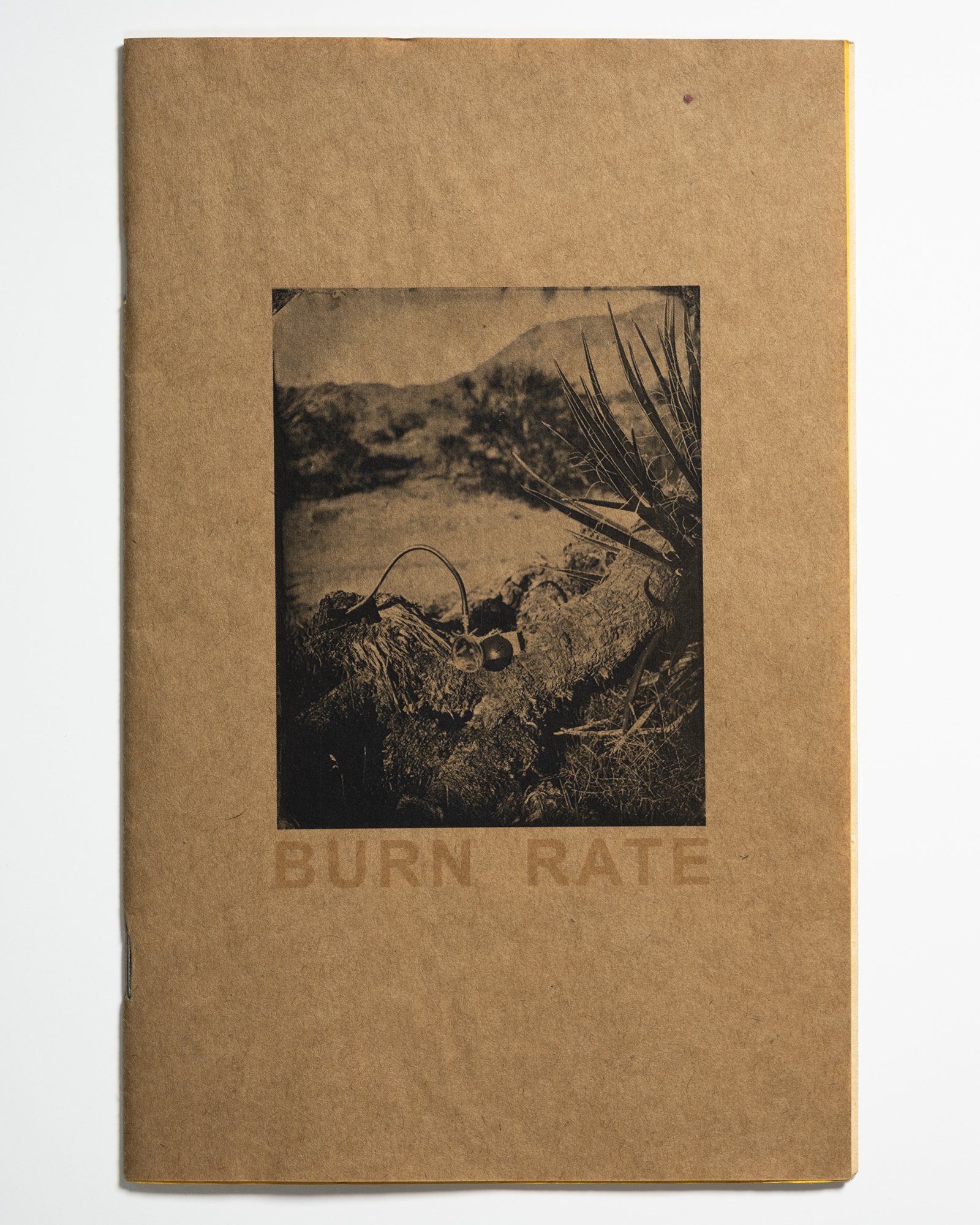 Cole Caswell, Burn Rate