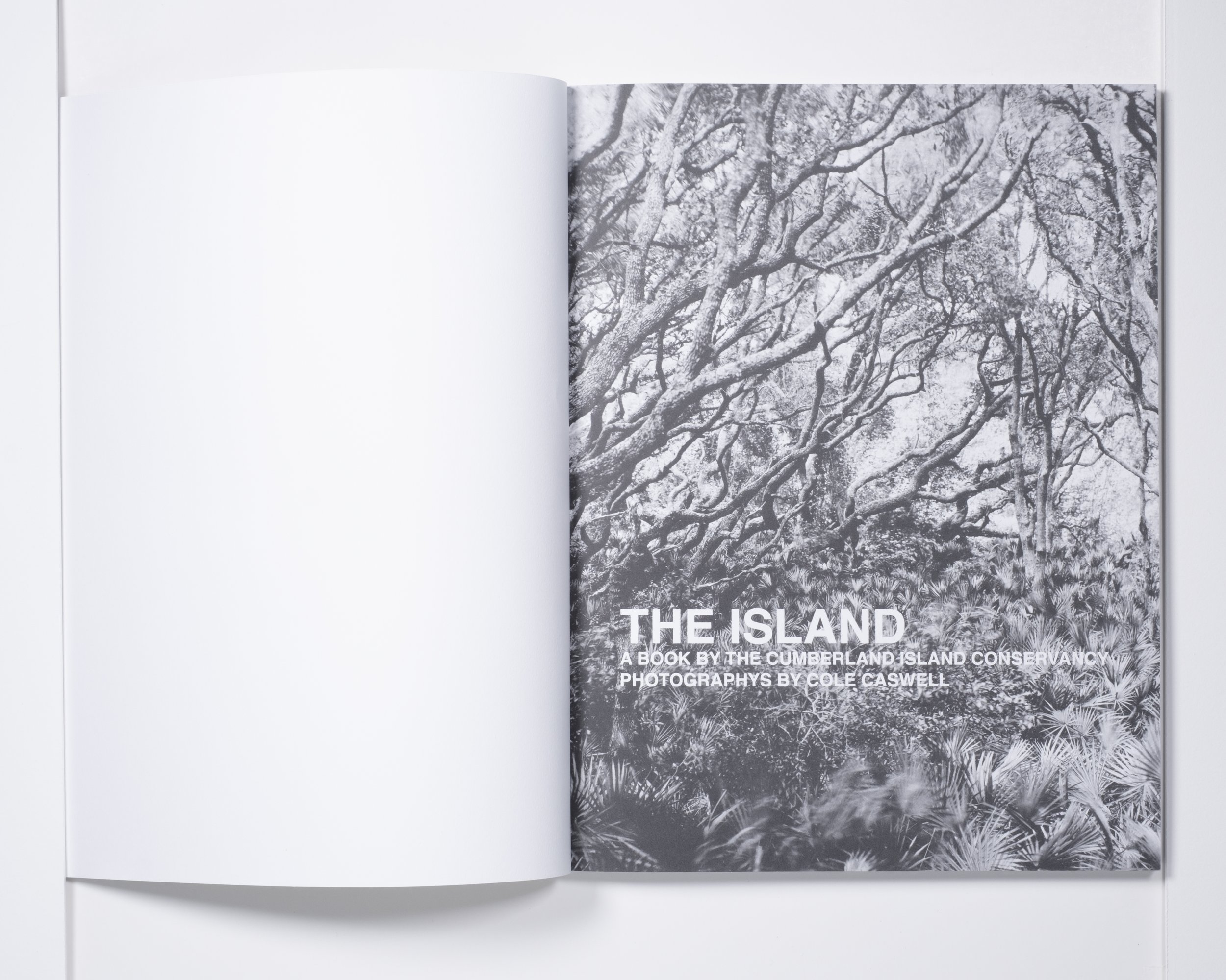 Cole Caswell, The Island