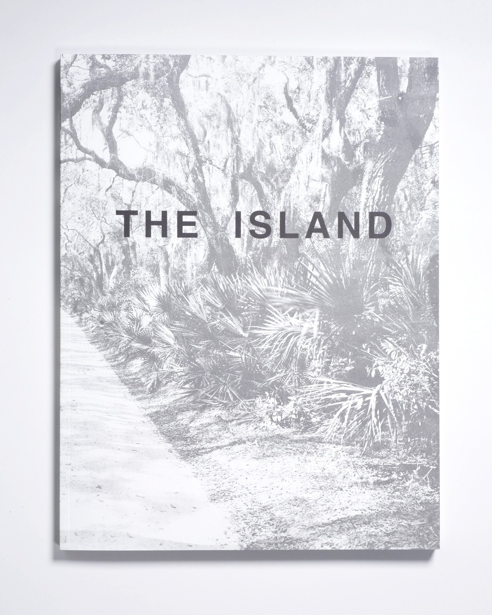 Cole Caswell, The Island