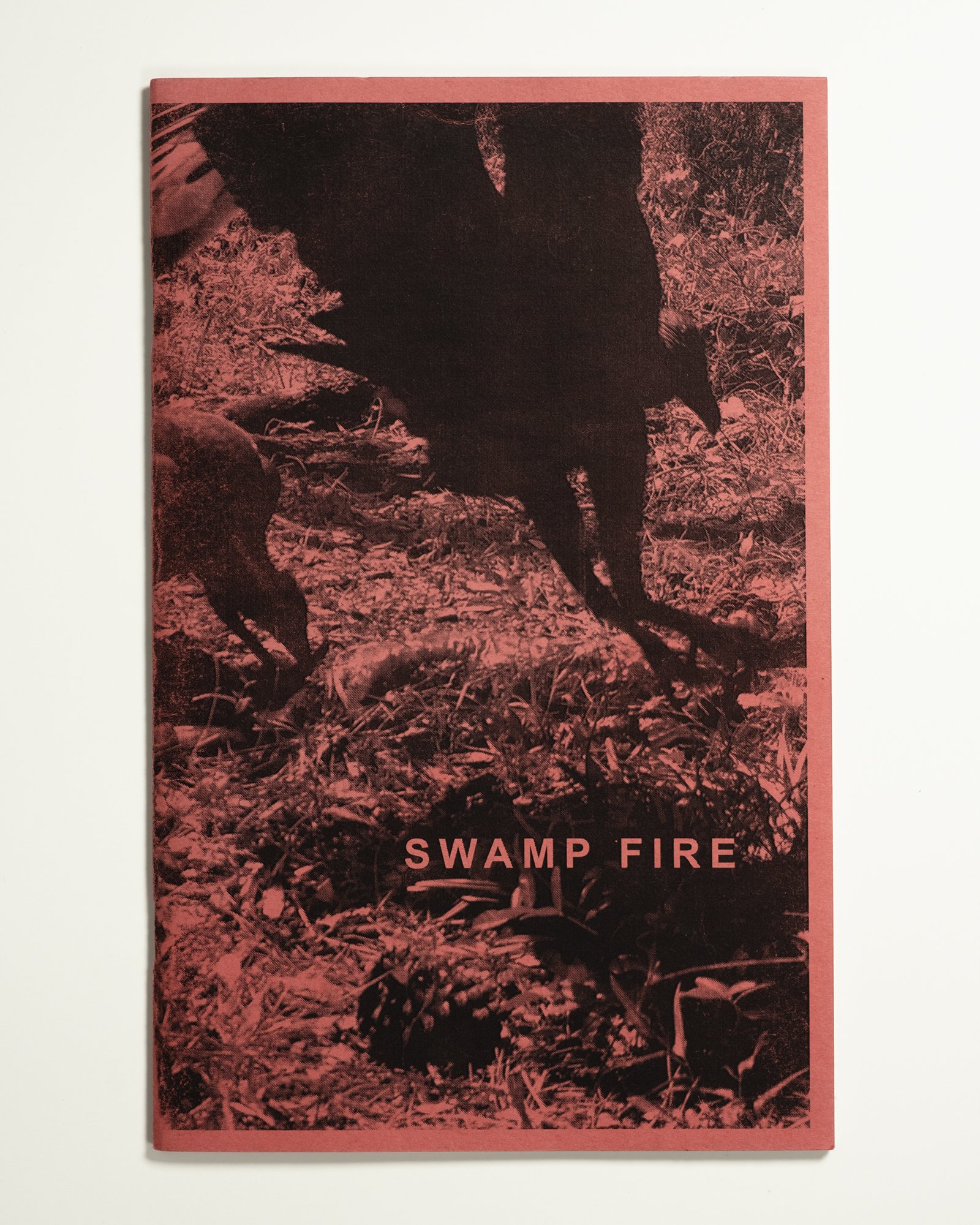 Cole Caswell, Swamp Fire