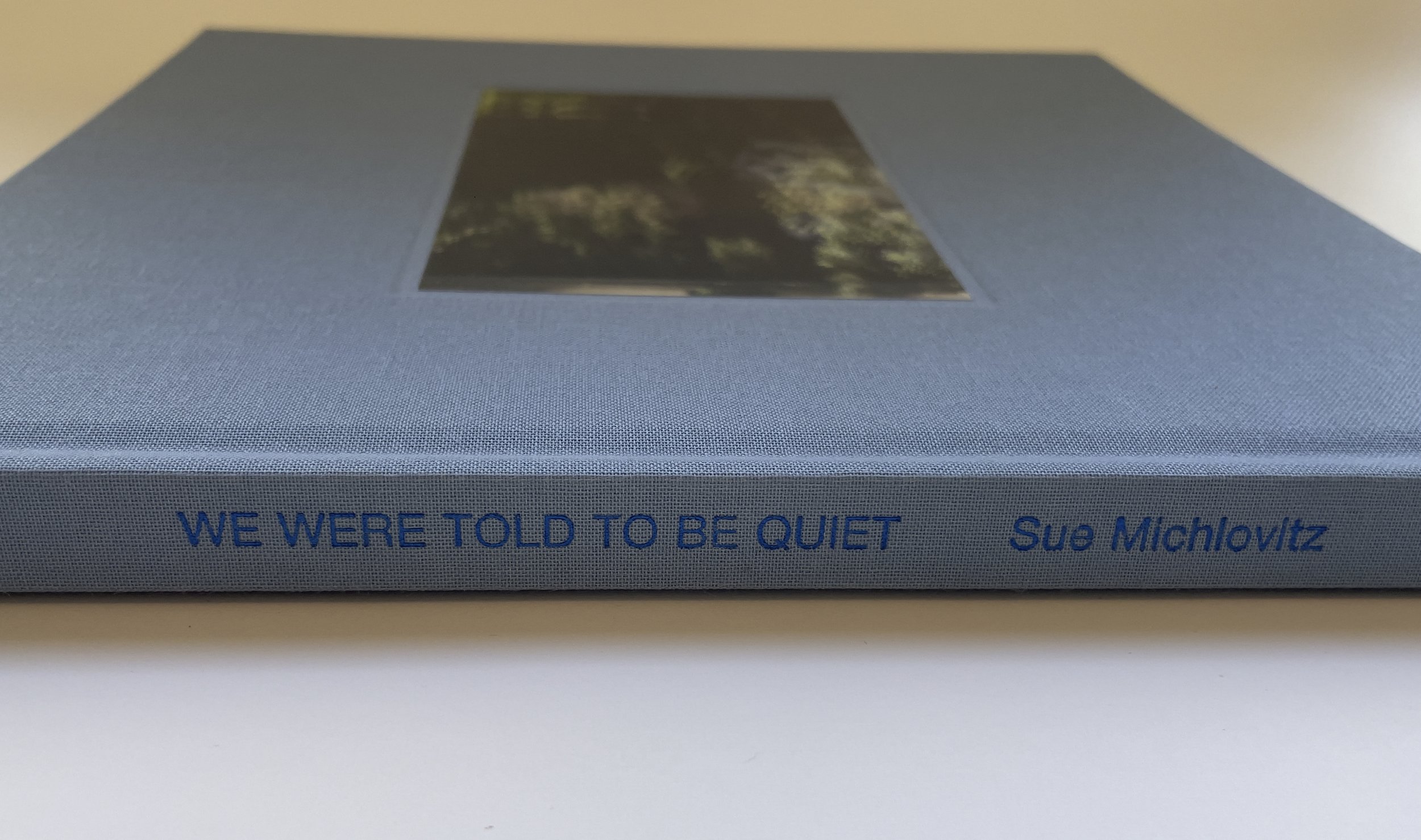 Sue Michlovitz, We Were Told to be Quiet