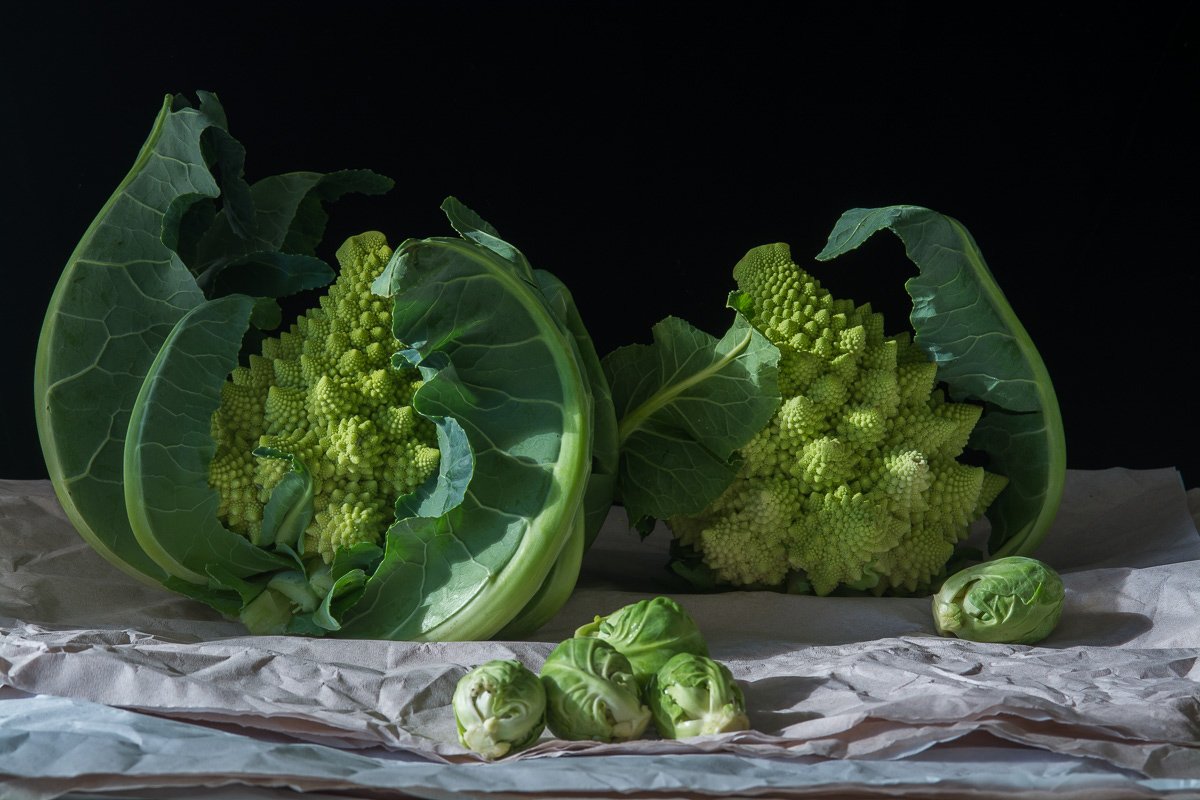 Lynn Karlin_Cauliflower & Brussel Sprouts.jpg