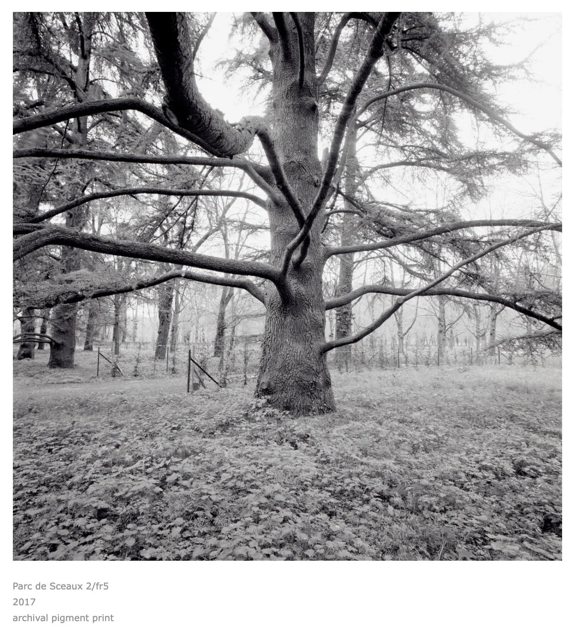 Parc de Sceaux, print.jpeg