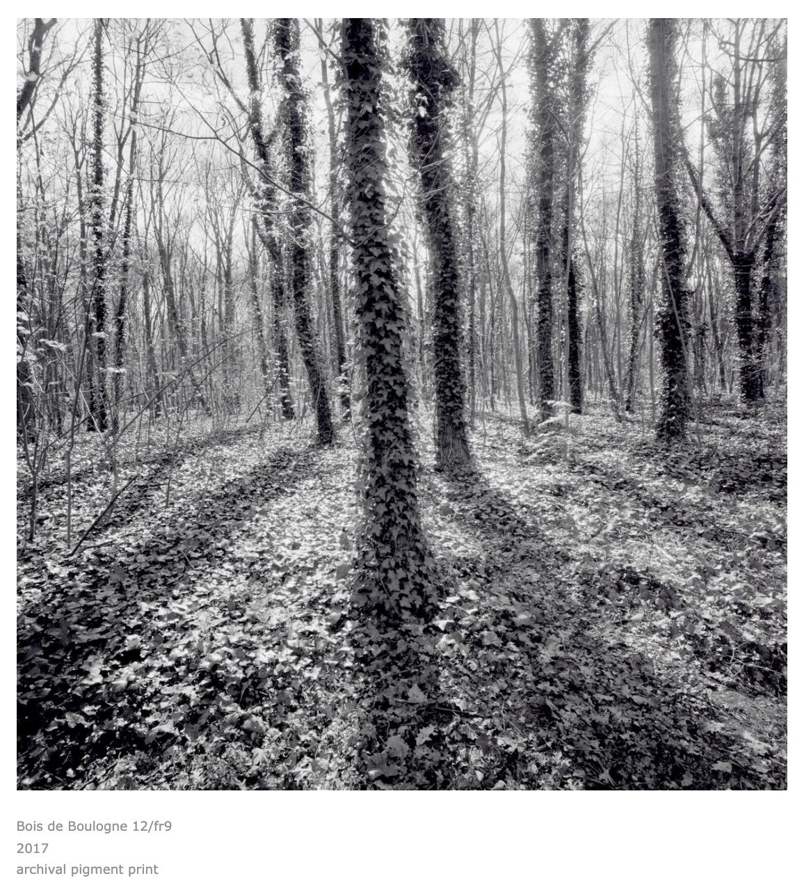 Michael Kolster, Bois de Boulogne