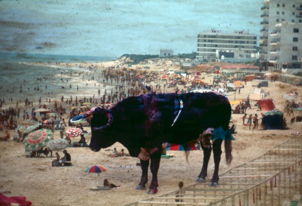 Ian Trask, Taurus Season, 2022, 35mm slide collage in vintage slide viewer with shelf, 7 x 7 inches, $500.
