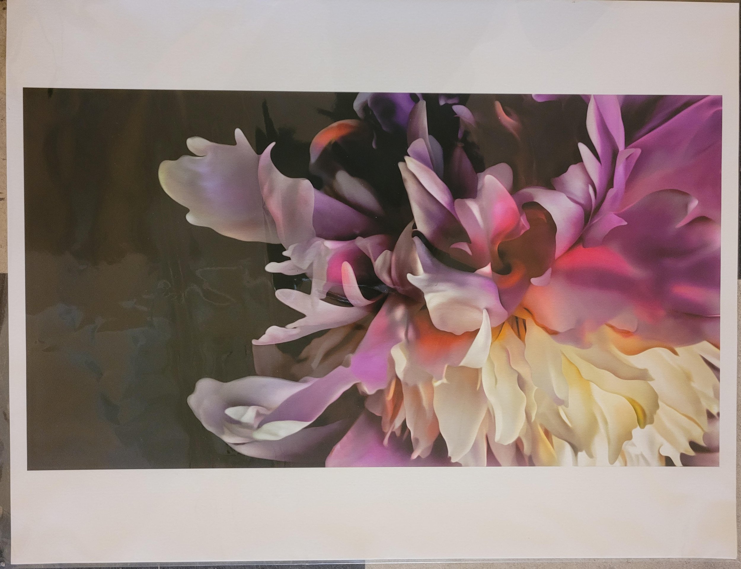  Joe Muir,  # 5,  From the Flower portfolio, 1/3, 2015-2020, Inkjet prints, 16 x 20 inches, $950. each (framed) 