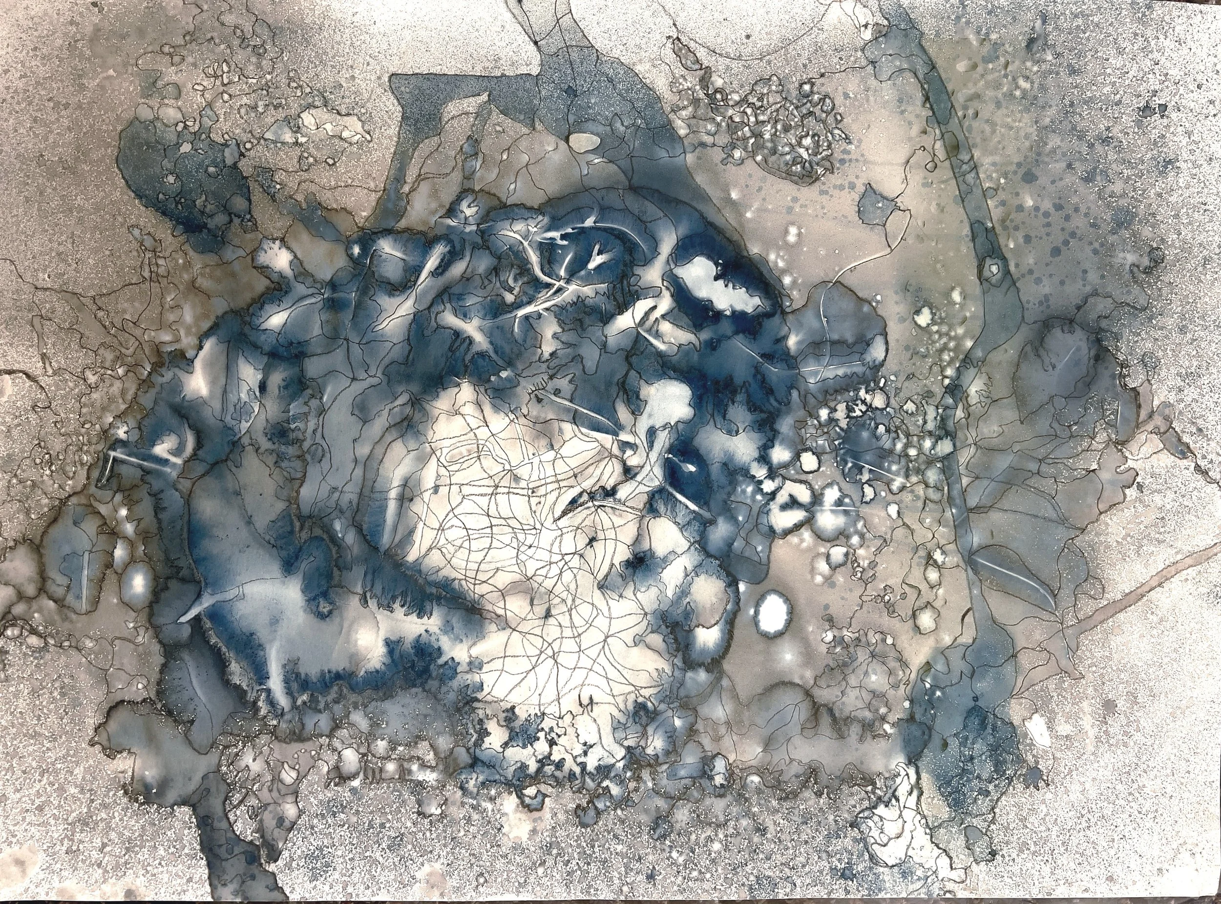 Caroline Savage, Organic Mapping, Possible Geography.. 2000.