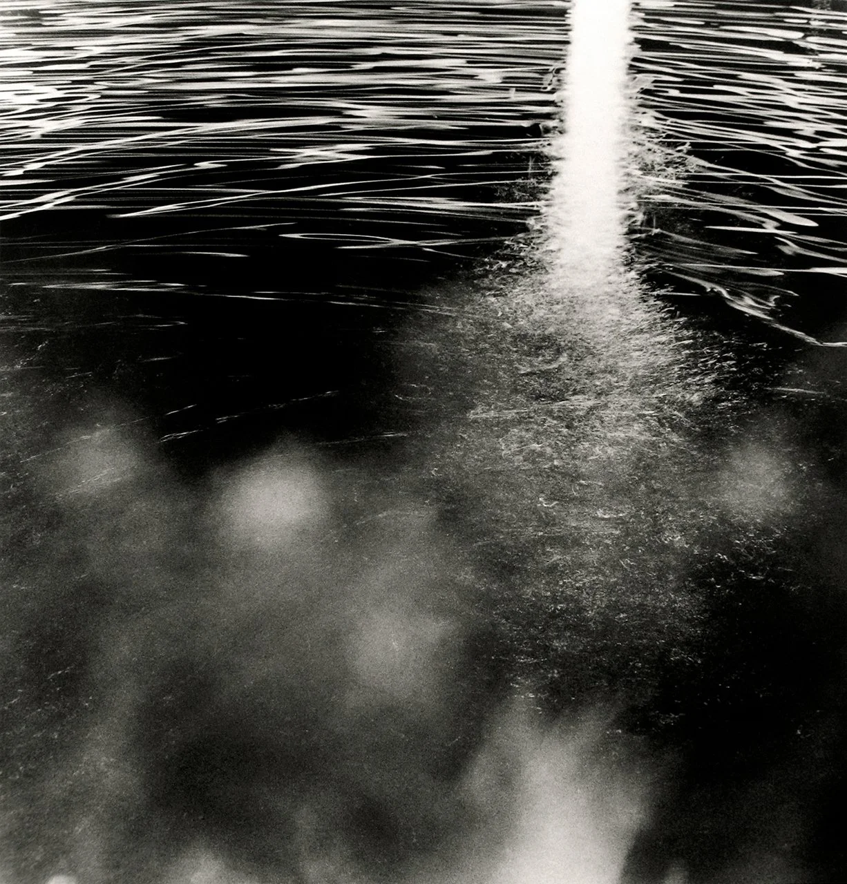 Swimmers, Moonlight, Claire Seidl