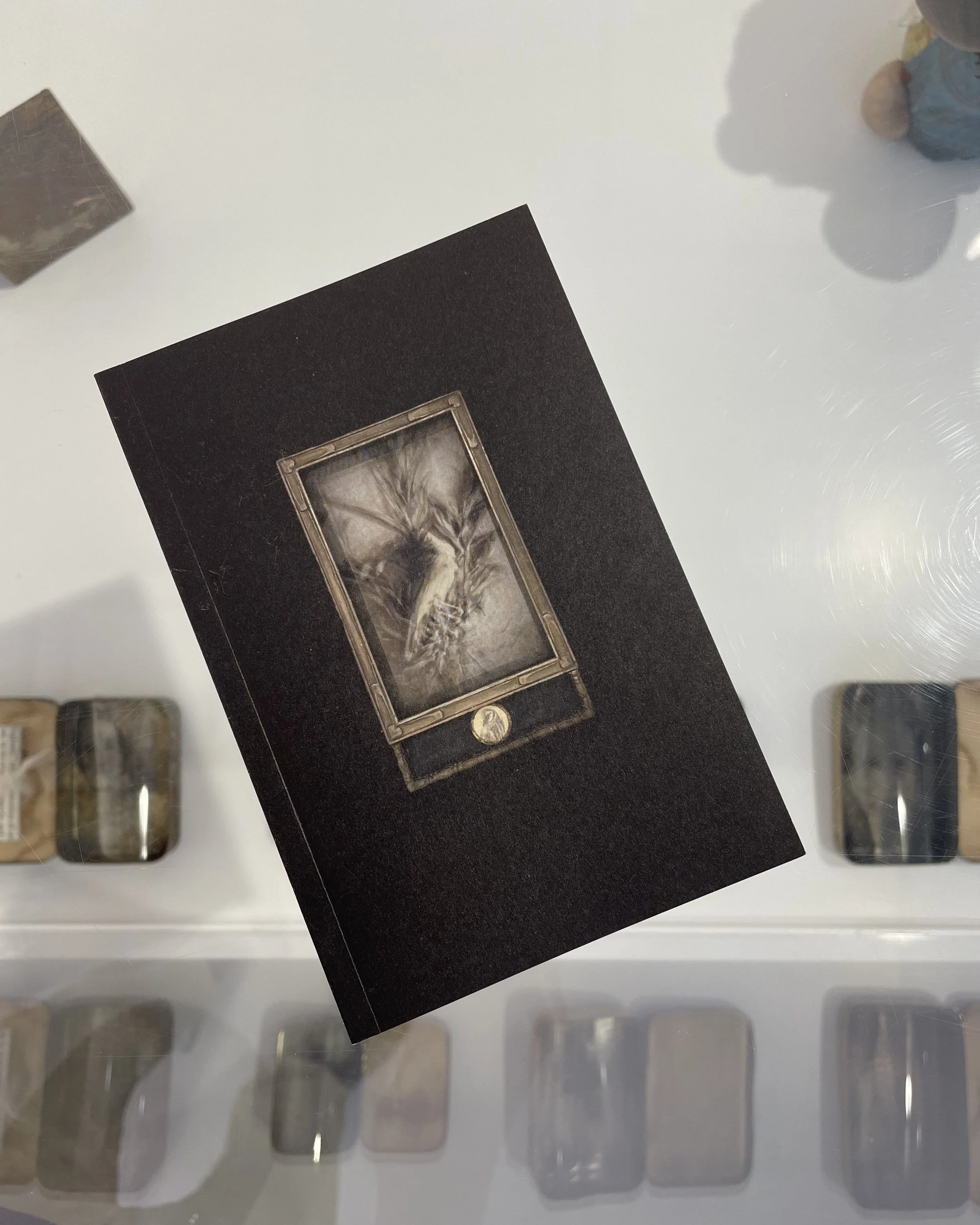 Sal Taylor Kydd, Assemblages book