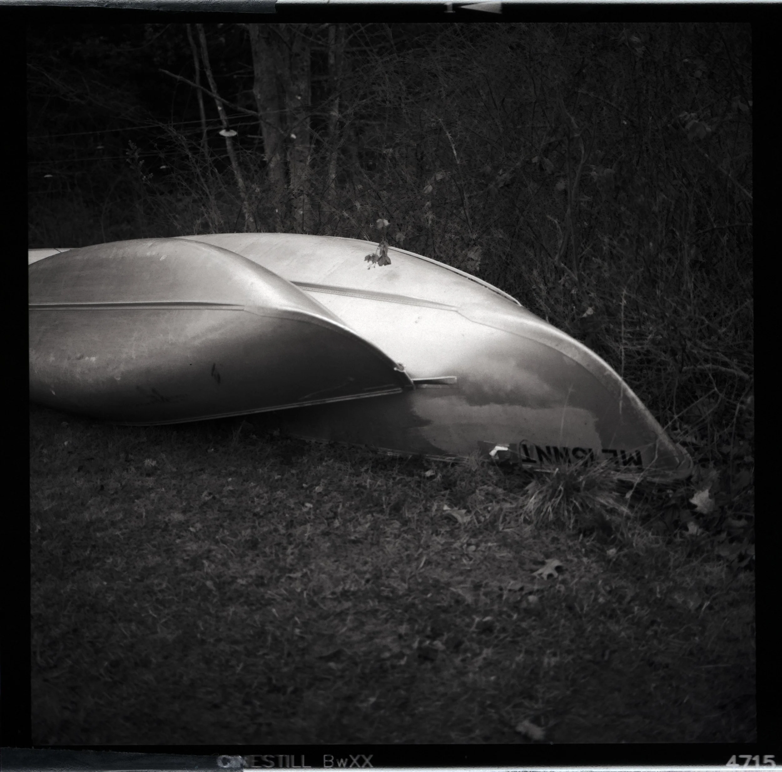 Deb Dawson, Till Spring, 2025, Inkjet print (film based) 20 x 20 inches, $1,200